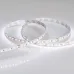 Лента светодиодная 9,6 Вт/м 24В IP20 6000K2700K 240LED/м MICROLED-M240-8mm SMD 2216 5 м