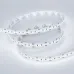 Лента светодиодная 8 Вт/м 24В 6000K IP20 300LED/м MICROLED-M300-8mm SMD 2216 5 м