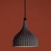Светильник подвесной Terra FR5582PL-01GF Черный