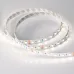 Лента светодиодная 19,2 Вт/м 24В IP20 RGBW 60LED/м RT/RTW-B60-12-14mm SMD 5060 5 м
