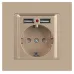 Розетка Intro Accent 6-410-04 , P+E Schuko со шторками, 16А-250В + 2хUSB, IP20, СУ, шампань
