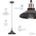 Светильник подвесной (подвес) ЭРА PL4 BK/RC металл, E27, max 60W, высота плафона 80мм, подвеса 800мм, черный/медь