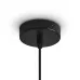 Светильник подвесной Topi E27х1 40Вт IP 20 Freya FR5503PL-01B1