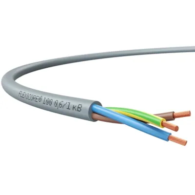 FLEXICORE 100 0,6/1 кВ 5G10