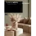 Вывод кабельный С/У, Вулканический пепел , Systeme Infinity