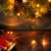 Гирлянда Твинкл Лайт 4 м, темно-зеленый ПВХ, 25 LED, тёплый белый