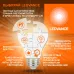 LIGHTLINE SUSPENDED KIT RU LEDV