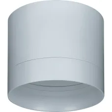 Светильник NGX-C-001-01