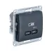 GLOSSA USB РОЗЕТКА тип-C 65W высокоскор.заряд. QC, PD, механизм, АНТРАЦИТ GLOSSA USB РОЗЕТКА тип-C 65W высокоскор.заряд. QC, PD, механизм, АНТРАЦИТ