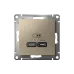 ATLASDESIGN USB РОЗЕТКА тип-C 65W высокоскор.заряд. QC, PD, механизм, ШАМПАНЬ