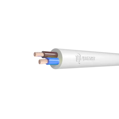 ПВСнг(А)-LS 2х10