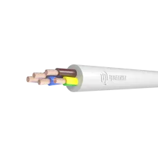 Провод ПВСнг(А)-LS 5х6 белый ТРТС