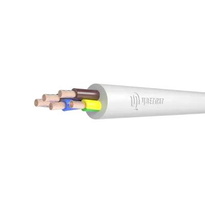 Провод ПВСнг(А)-LS 5х6 белый ТРТС