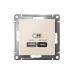 ATLASDESIGN USB РОЗЕТКА A + тип-C 45W высокоскор.заряд. QC,PD, механизм, БЕЖЕВЫЙ