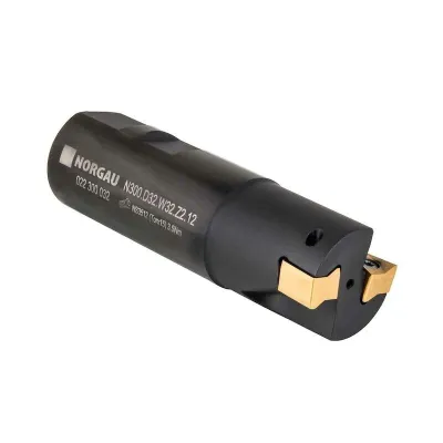 Фреза концевая со сменными пластинами N300.D32.W32.Z2.12