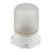 Светильник UWL-K01R 60W/E27 IP65 WHITE влагозащищенный под лампу Е27, для бань и саун, до +125°С. Цвет корпуса белый. ТМ Uniel