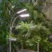 Светильник для растений светодиодный с таймером 24 Вт на прищепке Спектр для фотосинтеза ULT-P37-24W/SPFR/TM/60 IP40 WHITE TWIN