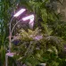 Светильник для растений светодиодный с таймером 24 Вт на прищепке Спектр для фотосинтеза ULT-P37-24W/SPLE/TM/60 IP40 WHITE TWIN