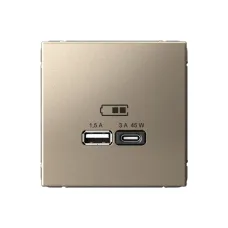 ARTGALLERY USB розетка A + тип-C 45Вт высокоскор.заряд. QC, PD, механизм, шампань