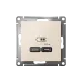 ATLASDESIGN USB РОЗЕТКА тип-C 65W высокоскор.заряд. QC, PD, механизм, БЕЖЕВЫЙ