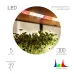 Светодиодная лента для растений ЭРА FITO-Strip Light-Rа90-300LED-5m-12V-IP65 полного спектра 5м IP65 с адаптером 12В