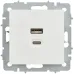 BRITE Розетка USB A+C 45Вт высокоскоростная зарядка РЮ11-2-БрБ белый IEK