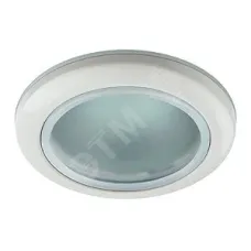 WR1 WH Светильник ЭРА влагозащищенный MR16,12V/220V, 50W белый (100/2400)