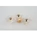Бра светильник Rivoli Shannon 6135-401 светодиодный LED 7 Вт 3000 К дизайн