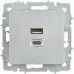 BRITE Розетка USB A+C 45Вт высокоскоростная зарядка РЮ11-2-БрА алюминий IEK