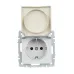 BRITE Розетка с заземлением с защитными шторками и крышкой 16А IP44 РСбш10-3-44-БрА алюминий