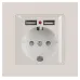 Розетка Intro Accent 6-410-06 , P+E Schuko со шторками, 16А-250В + 2хUSB, IP20, СУ, перламутр