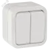 TORS Выключатель двухклавишный 10А IP55 TS305 белый IEK