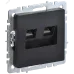 BRITE Розетка компьютерная двойная RJ45 кат.5E РК10-2-БрЧ черный