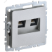 BRITE Розетка компьютерная двойная RJ45 кат.5E РК10-2-БрА алюминий
