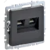 BRITE Розетка компьютерная двойная RJ45 кат.6 РК11-2-БрГ графит IEK BRITE Розетка компьютерная двойная RJ45 кат.6 РК11-2-БрГ графит IEK