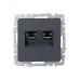 BRITE Розетка компьютерная двойная RJ45 кат.6 РК11-2-БрГ графит IEK