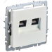 BRITE Розетка двойная RJ11+RJ45 кат.5E РК/Т12-БрЖ жемчуг
