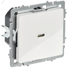 BRITE Розетка USB C 65Вт высокоскоростная зарядка РЮ12-1-БрБ белый IEK