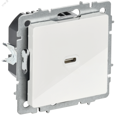 BRITE Розетка USB C 65Вт высокоскоростная зарядка РЮ12-1-БрБ белый IEK