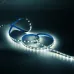 Лента Gauss Basic LED 5050/60 12V 8W/m 900lm/m 4000K 10mm IP20 5m 1/100