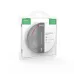 Лента Gauss Basic LED 2835/120 12V 9,6W/m 624lm/m зеленый 8mm IP20 3m 1/100