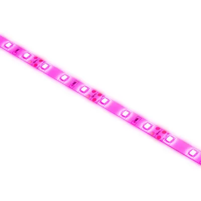 Светодиодная лента для растений ЭРА FITO-Strip Light-RB-2m красно-синего спектра, 2 м, IP65 с адаптером 12V в комплекте