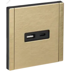 FORTE&PIANO Розетка USB A+C 18Вт FP651M металл шампань IEK