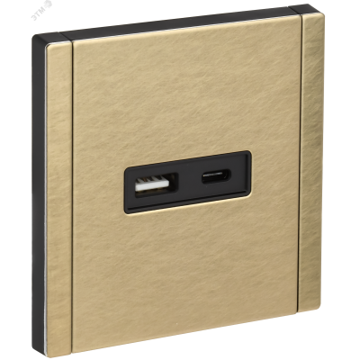 FORTE&PIANO Розетка USB A+C 18Вт FP651M металл шампань IEK