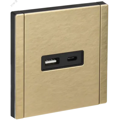 FORTE&PIANO Розетка USB A+C 18Вт FP651M металл шампань IEK