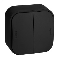 Выключатель 2-клавишный для открытой установки 10А черный матовый QUTEO