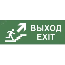 Самоклеящаяся этикетка ЭРА INFO-SSA-110 330х120мм ''Выход/лестница вверх/фигура'' SSA-101/DPA-301