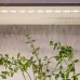 Светодиодная лента для растений ЭРА FITO-Strip Light-Rа90-27W-3m-12V-IP65 полного спектра 3м IP65 с адаптером 12V