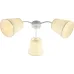 Люстра Rivoli Aimee 9162-303 3 х Е27 60 Вт модерн