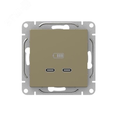 Механизм розетки USB-C - 2шт  шампань Эпика EKF